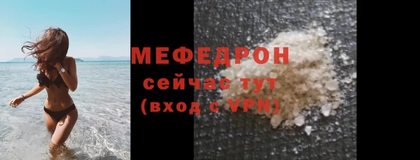 сатива Каменка