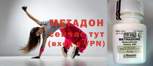 сатива Каменка