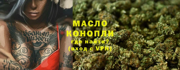 сатива Каменка