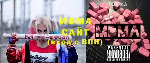 сатива Каменка