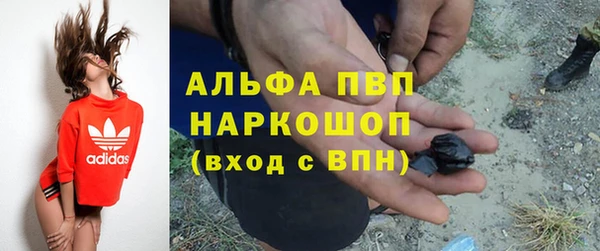 сатива Каменка