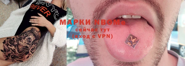 сатива Каменка