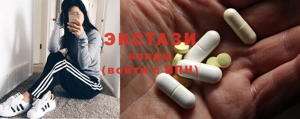 сатива Каменка