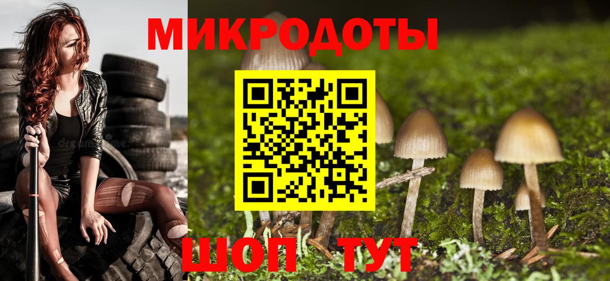 Галлюциногенные грибы Magic Shrooms  Галлюциногенные грибы Cubensis  Топки 