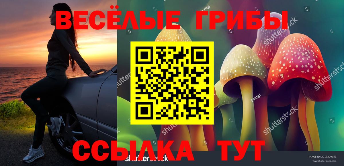 Псилоцибиновые грибы GOLDEN TEACHER Топки