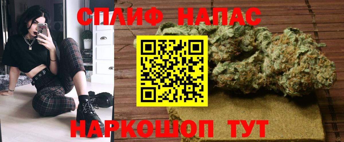 Бошки марихуана планчик  МАРИХУАНА план  Каннабис планчик  Топки  МАРИХУАНА индика 